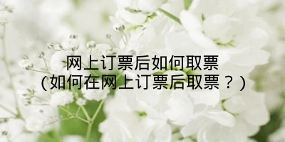 网上订票后如何取票(如何在网上订票后取票?)