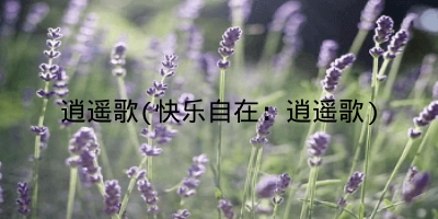 逍遥歌(快乐自在:逍遥歌)