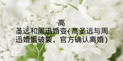 高圣远和周迅婚变(高圣远与周迅婚姻破裂，官方确认离婚)