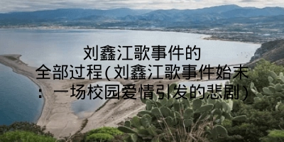刘鑫江歌事件的全部过程(刘鑫江歌事件始末:一场校园爱情引发的悲剧)