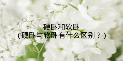 硬卧和软卧(硬卧与软卧有什么区别?)