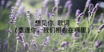 想见你 歌词(重逢你,我们相会在哪里)