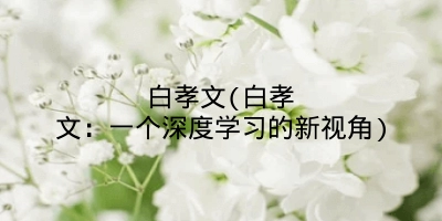 白孝文(白孝文：一个深度学习的新视角)