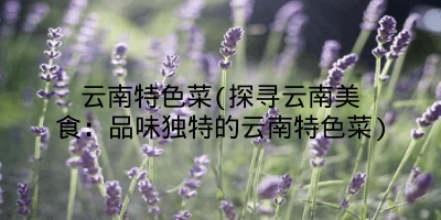 云南特色菜(探寻云南美食:品味独特的云南特色菜)