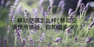 移动空调怎么样(移动空调使用体验,你知道多少?)