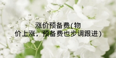 涨价预备费(物价上涨,预备费也步调跟进)