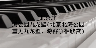 北京北海公园九龙壁(北京北海公园重见九龙壁,游客争相欣赏)