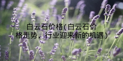 白云石价格(白云石价格走势，行业迎来新的机遇)
