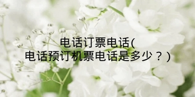 电话订票电话(电话预订机票电话是多少?)