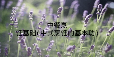 中餐烹饪基础(中式烹饪的基本功)