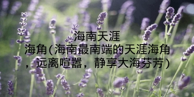 海南天涯海角(海南最南端的天涯海角,远离喧嚣,静享大海芬芳)