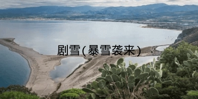 剧雪(暴雪袭来)