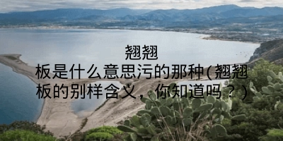 翘翘板是什么意思污的那种(翘翘板的别样含义，你知道吗？)