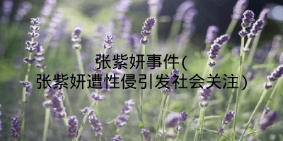 张紫妍事件(张紫妍遭性侵引发社会关注)