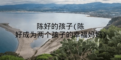 陈好的孩子(陈好成为两个孩子的幸福妈妈)
