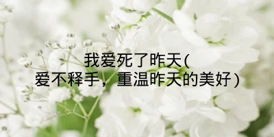 我爱死了昨天(爱不释手,重温昨天的美好)