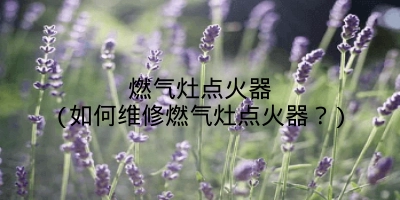 燃气灶点火器(如何维修燃气灶点火器?)