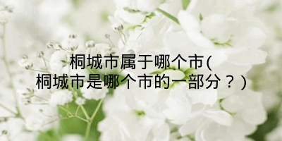桐城市属于哪个市(桐城市是哪个市的一部分?)