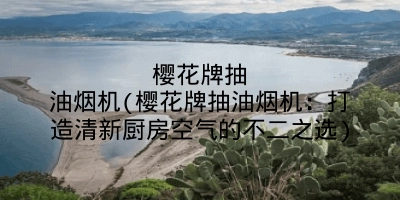 樱花牌抽油烟机(樱花牌抽油烟机：打造清新厨房空气的不二之选)