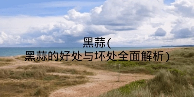 黑蒜(黑蒜的好处与坏处全面解析)