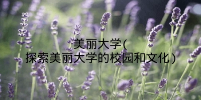 美丽大学(探索美丽大学的校园和文化)