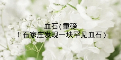 血石(重磅！石家庄发现一块罕见血石)