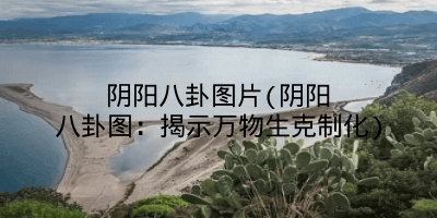 阴阳八卦图片(阴阳八卦图：揭示万物生克制化)