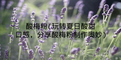 酸梅粉(玩转夏日酸甜口感,分享酸梅粉制作奥妙)