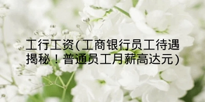 工行工资(工商银行员工待遇揭秘!普通员工月薪高达元)