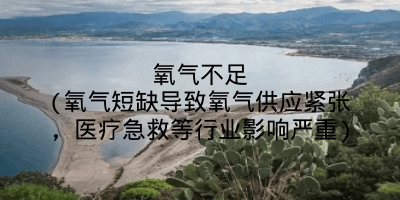 氧气不足(氧气短缺导致氧气供应紧张,医疗急救等行业影响严重)