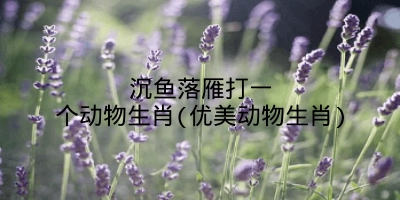 沉鱼落雁打一个动物生肖(优美动物生肖)