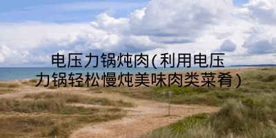 电压力锅炖肉(利用电压力锅轻松慢炖美味肉类菜肴)