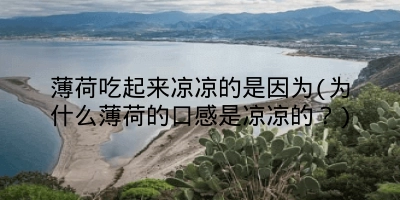 薄荷吃起来凉凉的是因为(为什么薄荷的口感是凉凉的?)