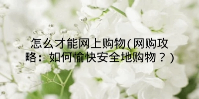 怎么才能网上购物(网购攻略:如何愉快安全地购物?)