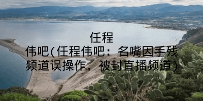 任程伟吧(任程伟吧：名嘴因手残频道误操作，被封直播频道)