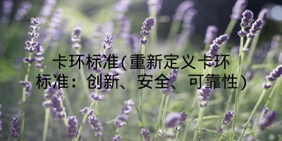 卡环标准(重新定义卡环标准:创新、安全、可靠性)