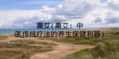 熏艾(熏艾:中医传统疗法的养生保健利器)