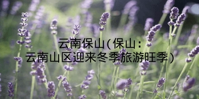 云南保山(保山：云南山区迎来冬季旅游旺季)