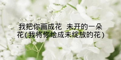我把你画成花 未开的一朵花(我将你绘成未绽放的花)