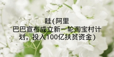 眭(阿里巴巴宣布成立新一轮淘宝村计划,投入100亿扶贫资金)