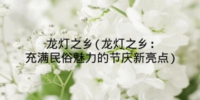 龙灯之乡(龙灯之乡:充满民俗魅力的节庆新亮点)
