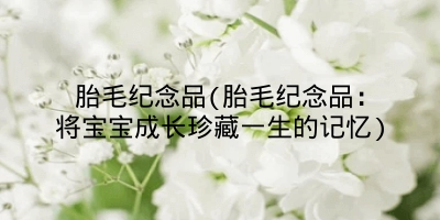 胎毛纪念品(胎毛纪念品：将宝宝成长珍藏一生的记忆)