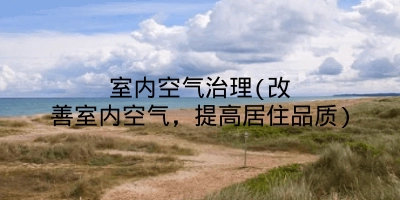室内空气治理(改善室内空气,提高居住品质)