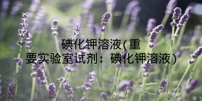 碘化钾溶液(重要实验室试剂:碘化钾溶液)