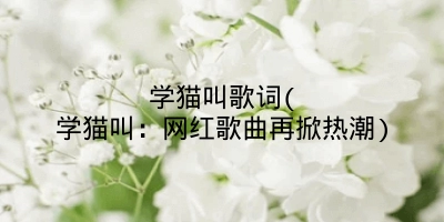 学猫叫歌词(学猫叫：网红歌曲再掀热潮)