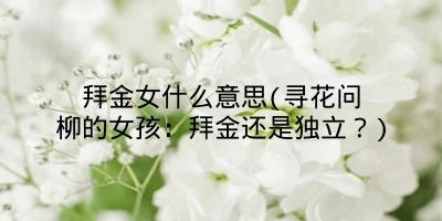 拜金女什么意思(寻花问柳的女孩:拜金还是独立?)