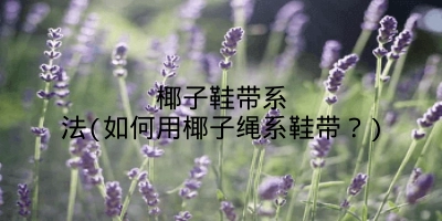 椰子鞋带系法(如何用椰子绳系鞋带?)