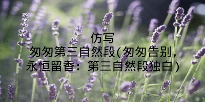 仿写匆匆第三自然段(匆匆告别，永恒留香：第三自然段独白)