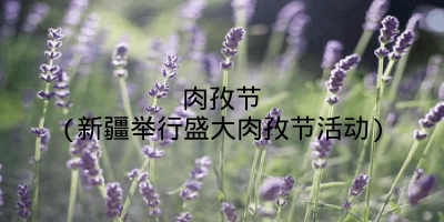 肉孜节(新疆举行盛大肉孜节活动)