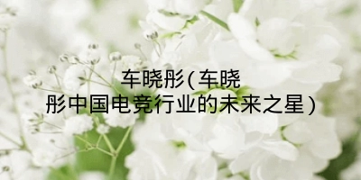 车晓彤(车晓彤中国电竞行业的未来之星)
